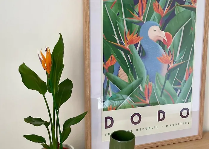 Aux Minimes - 1 - Climatise Daire Toulouse