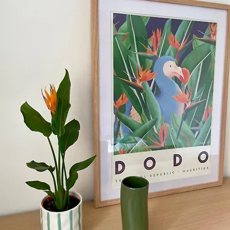 Aux Minimes - 1 - Climatise 아파트 툴루즈